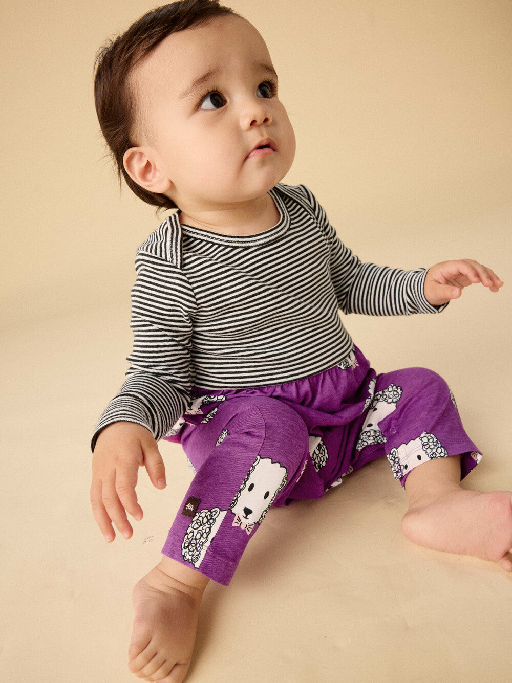 Magenta Maltipoo Print Mix Romper