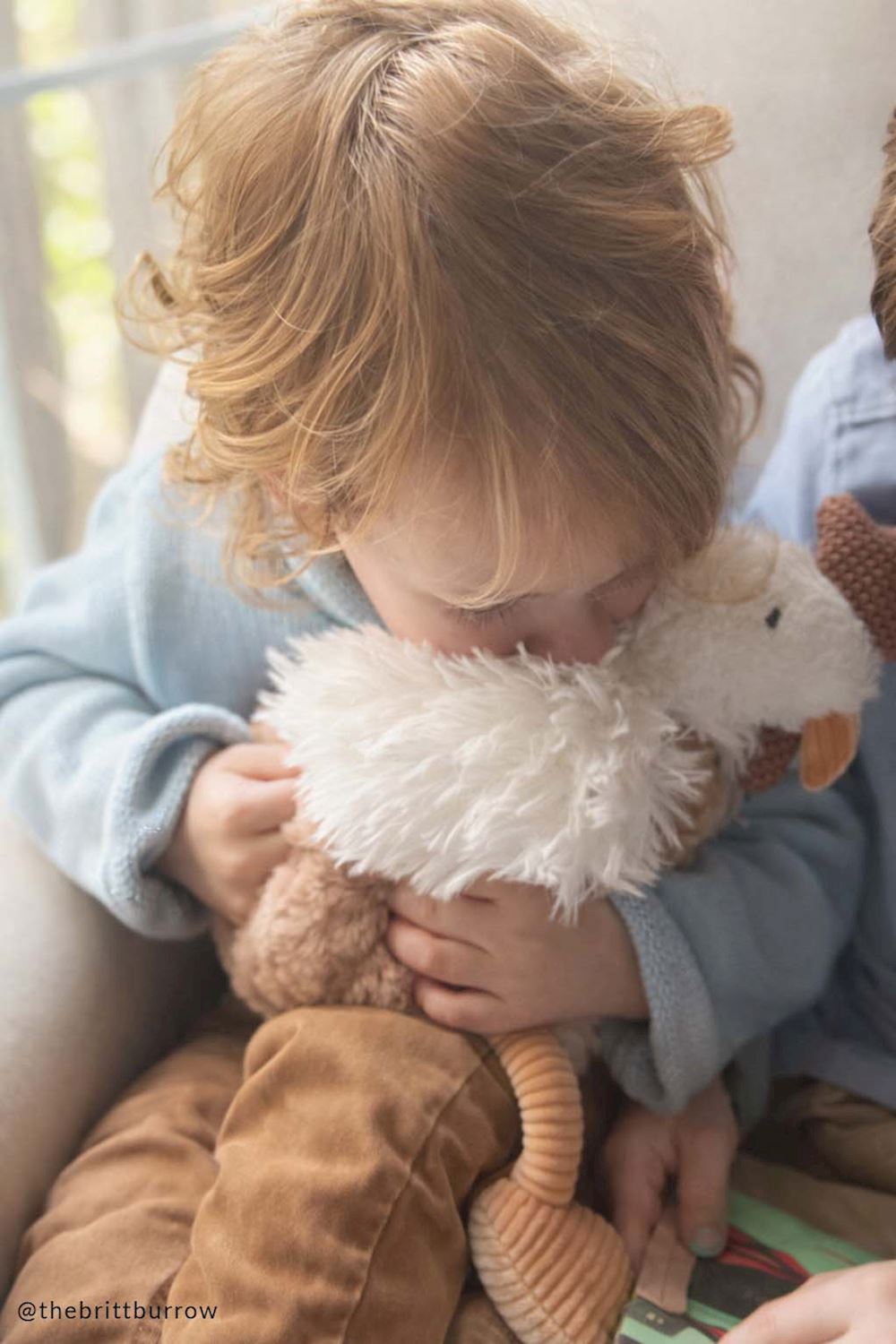 Barnyard Hen Plush