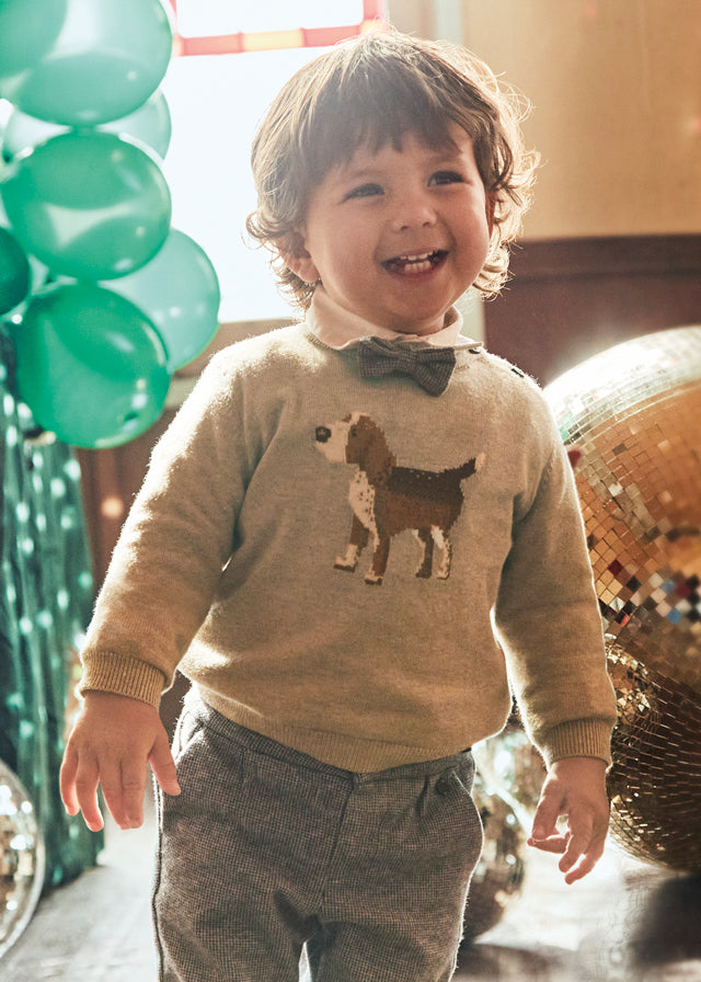 Camel Beagle Puppy Sweater