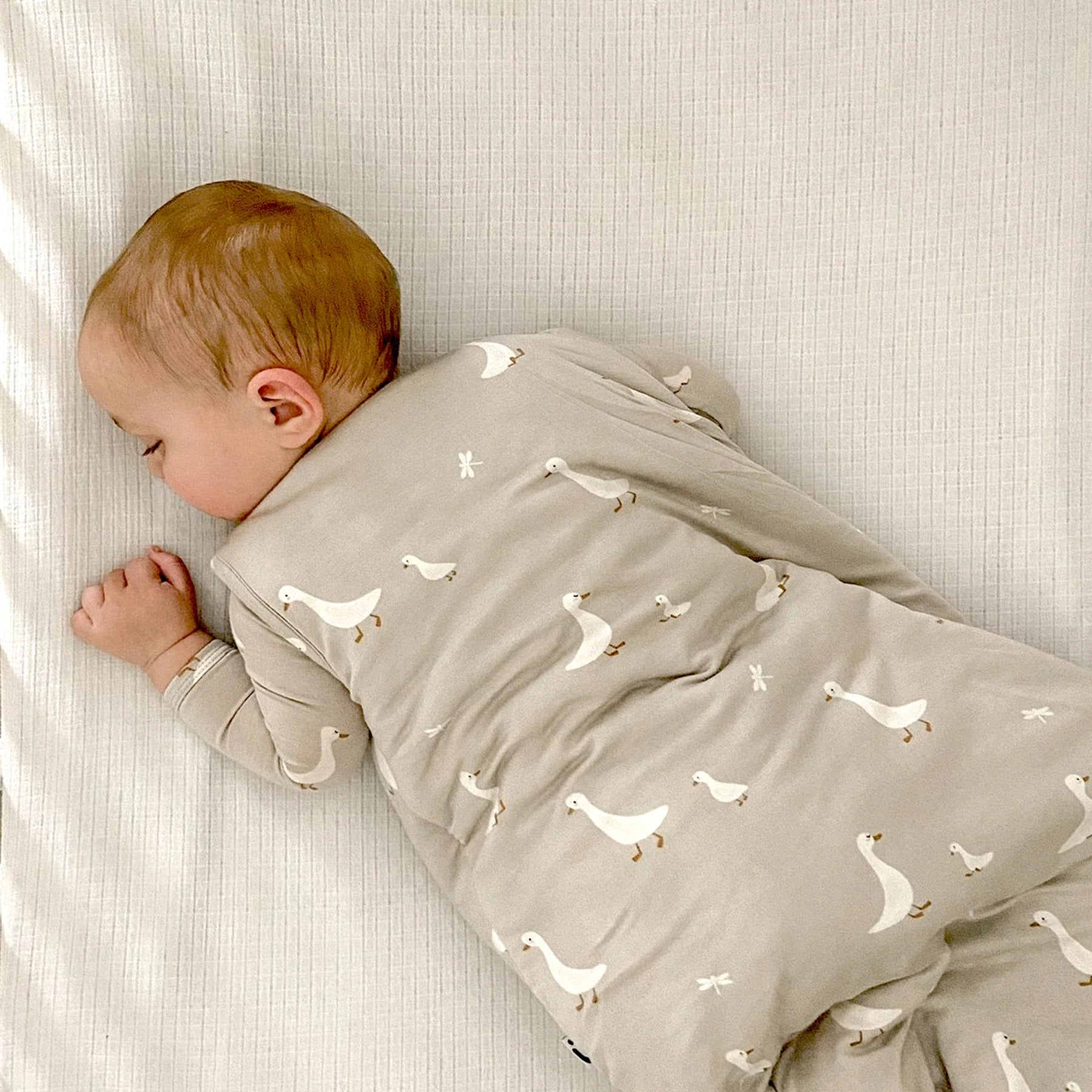 Goose Sleep Bag 1.0