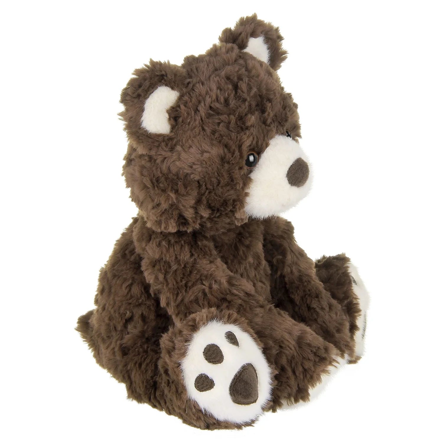 Clancy the Teddy Bear