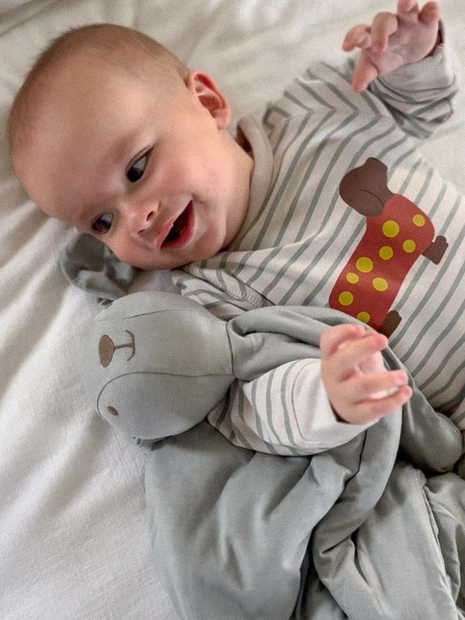 Gray Jack Bunny Lovey