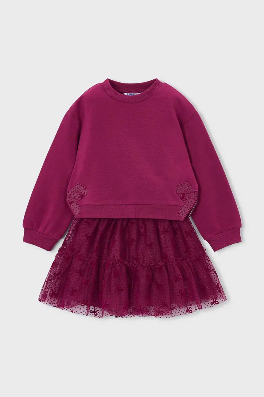 Raspberry Tulle Skirt Set