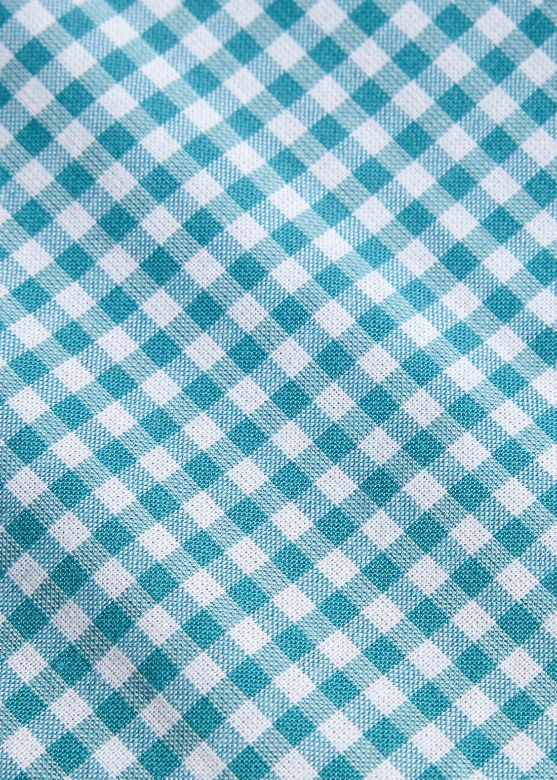 Alpine Gingham Button Down Shirt