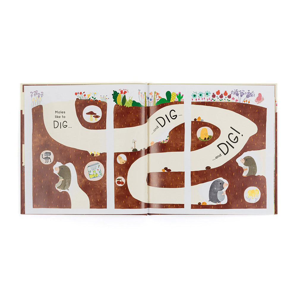 Muswell More and the Buried Treasure Book