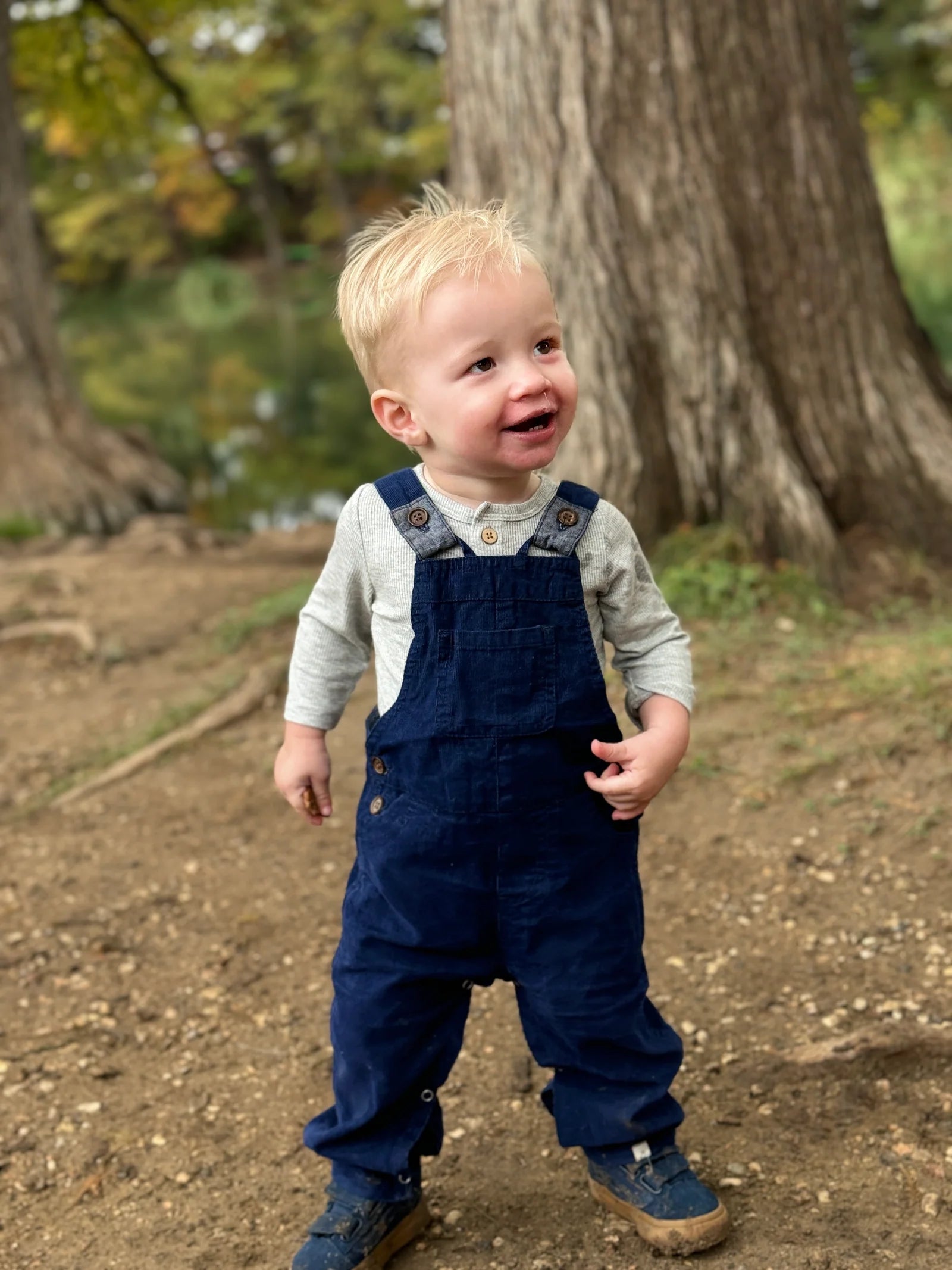 Harrison Navy Cord Overalls