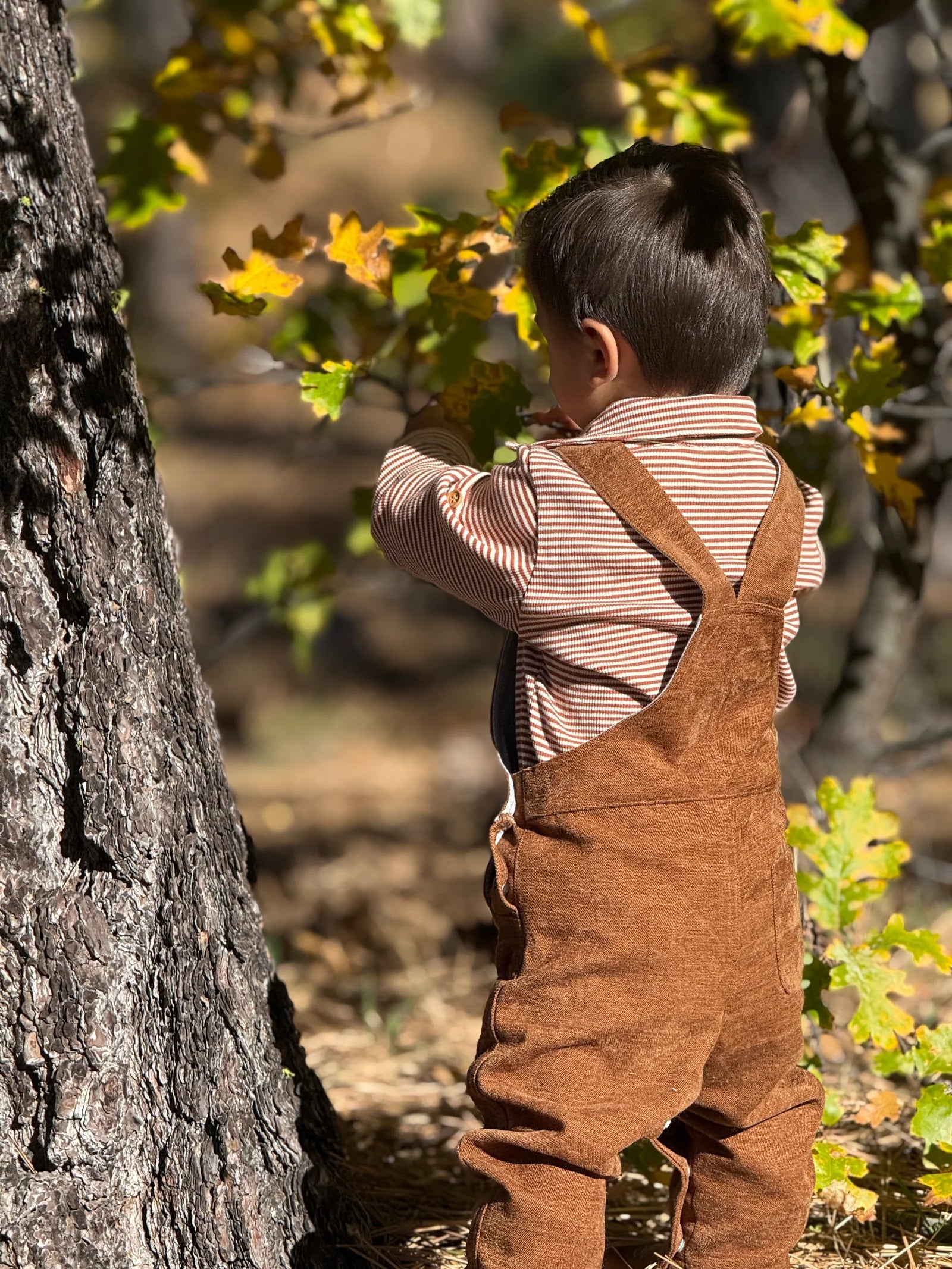 Brown Moleskin Woven Overalls