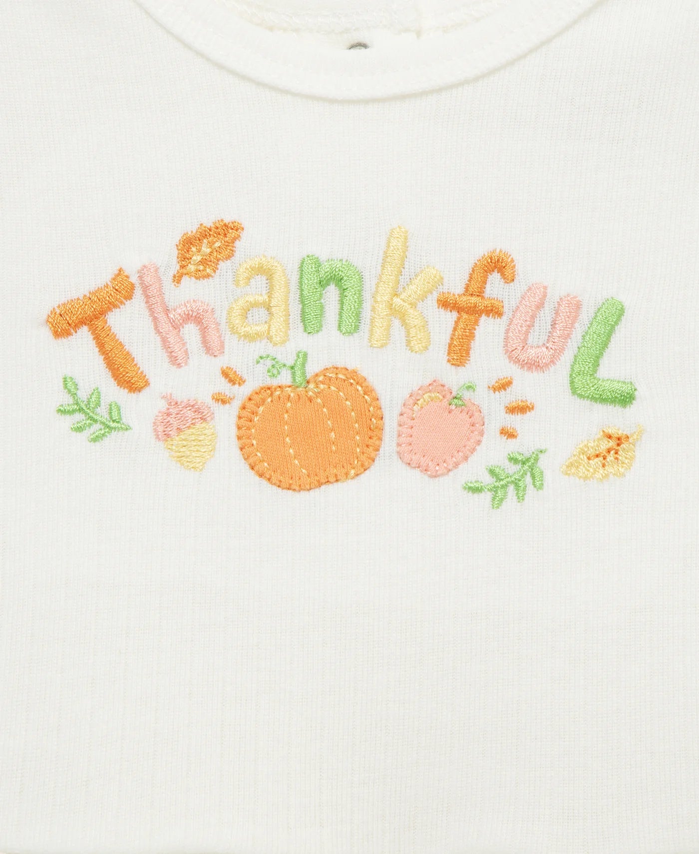 Thankful Skirted Bodysuit Set