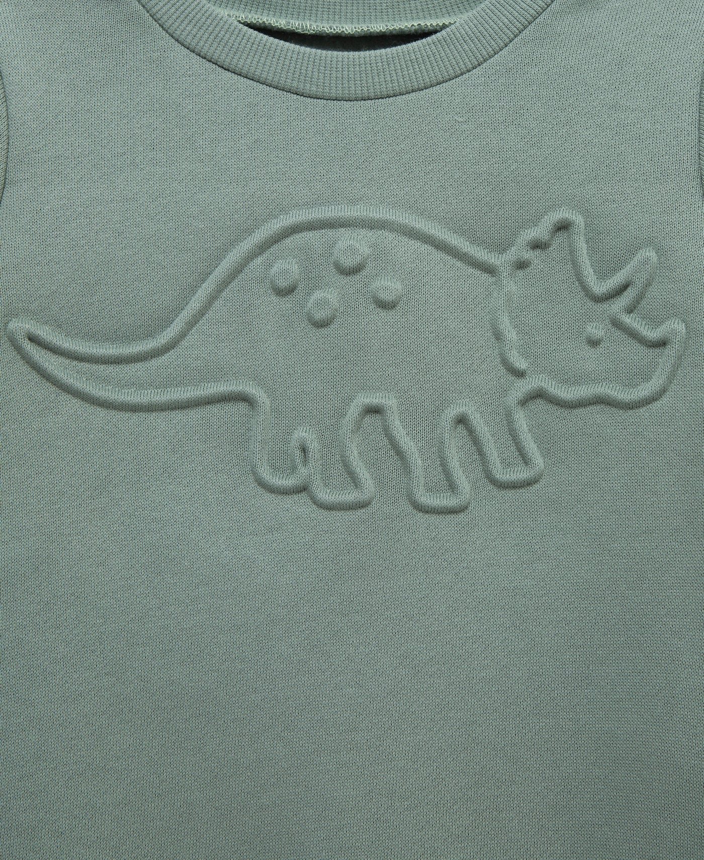 Sage Green Dino Imprint Sweatshirt Set