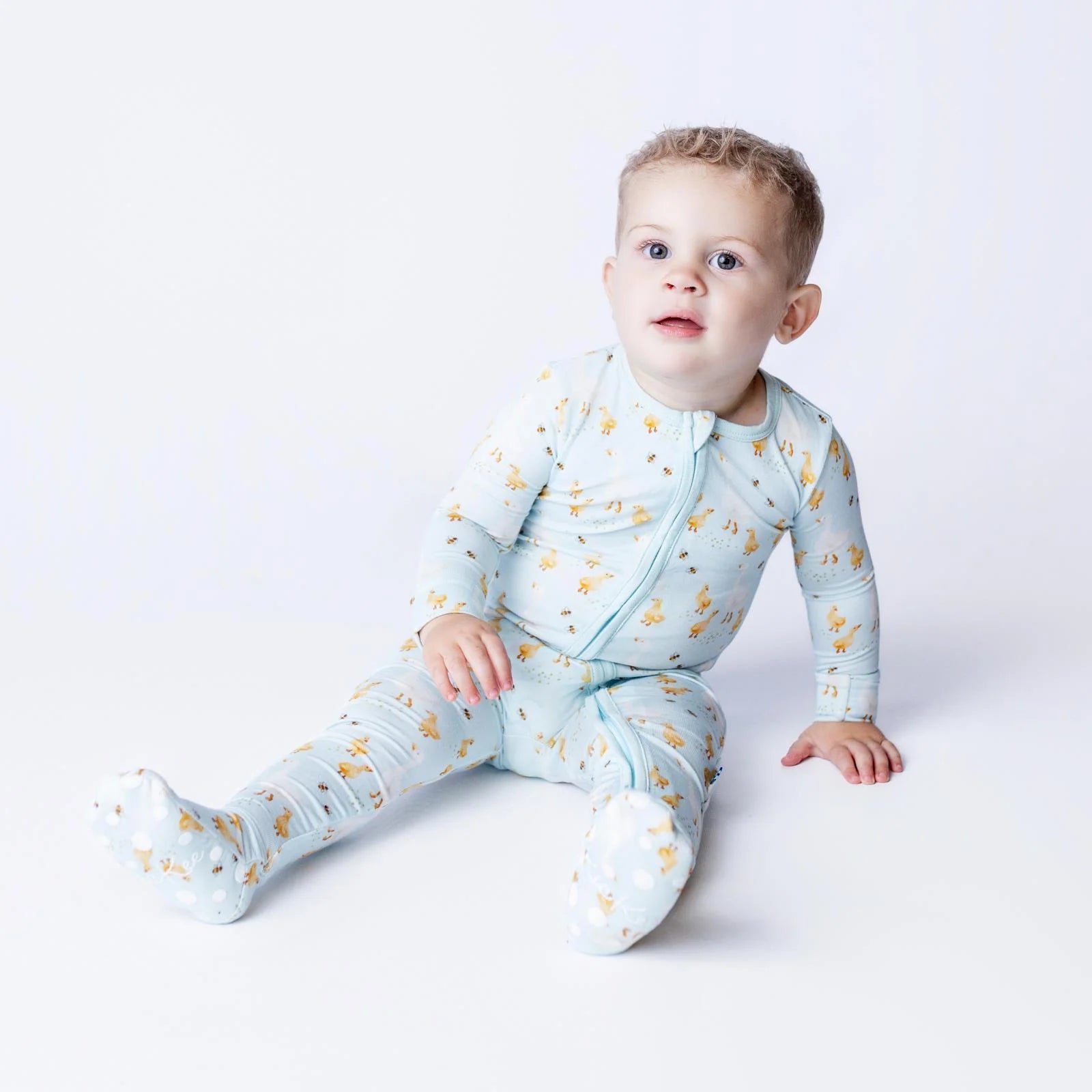 Spring Sky Feeding Ducks Print Footie