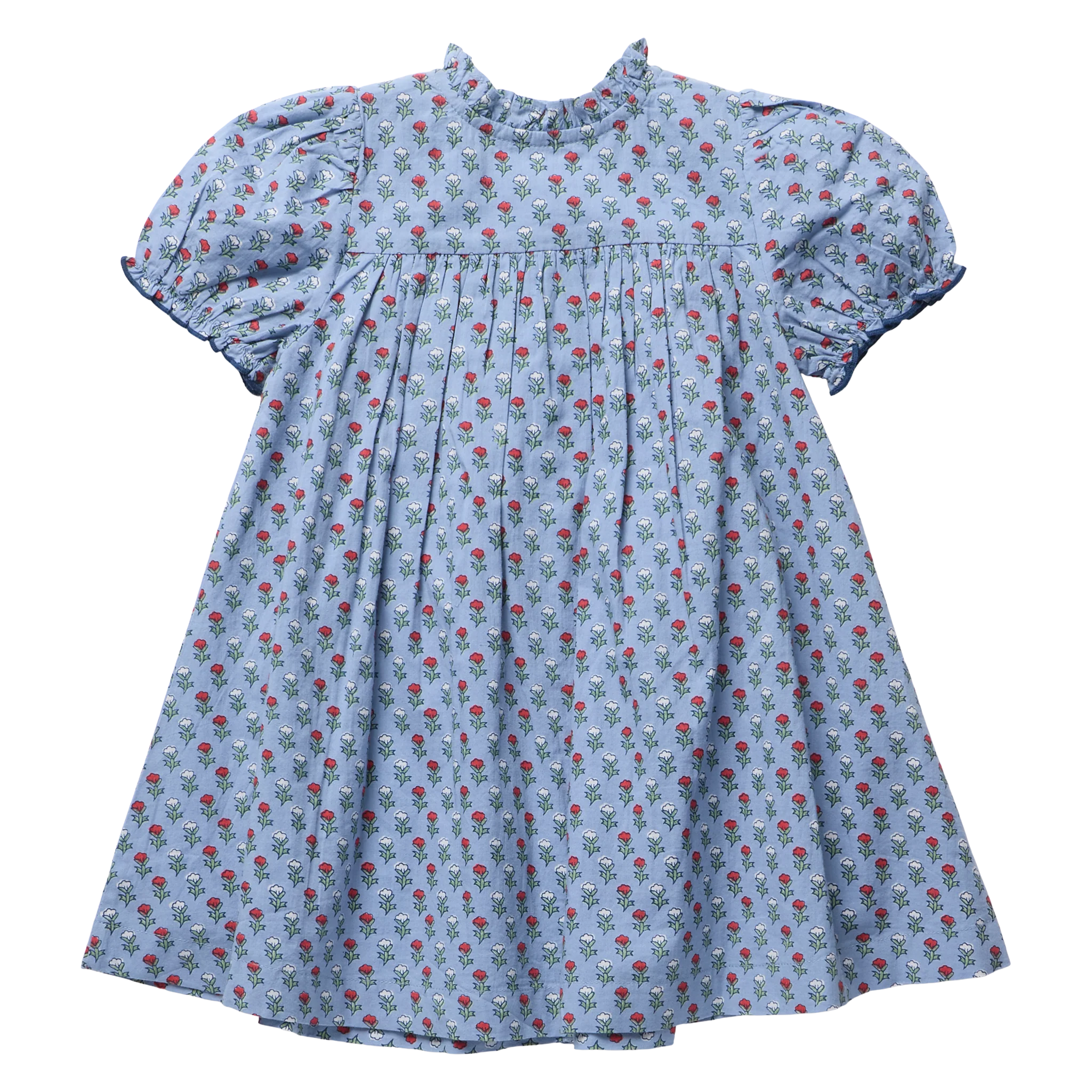 Light Blue Carnation Lucia Dress