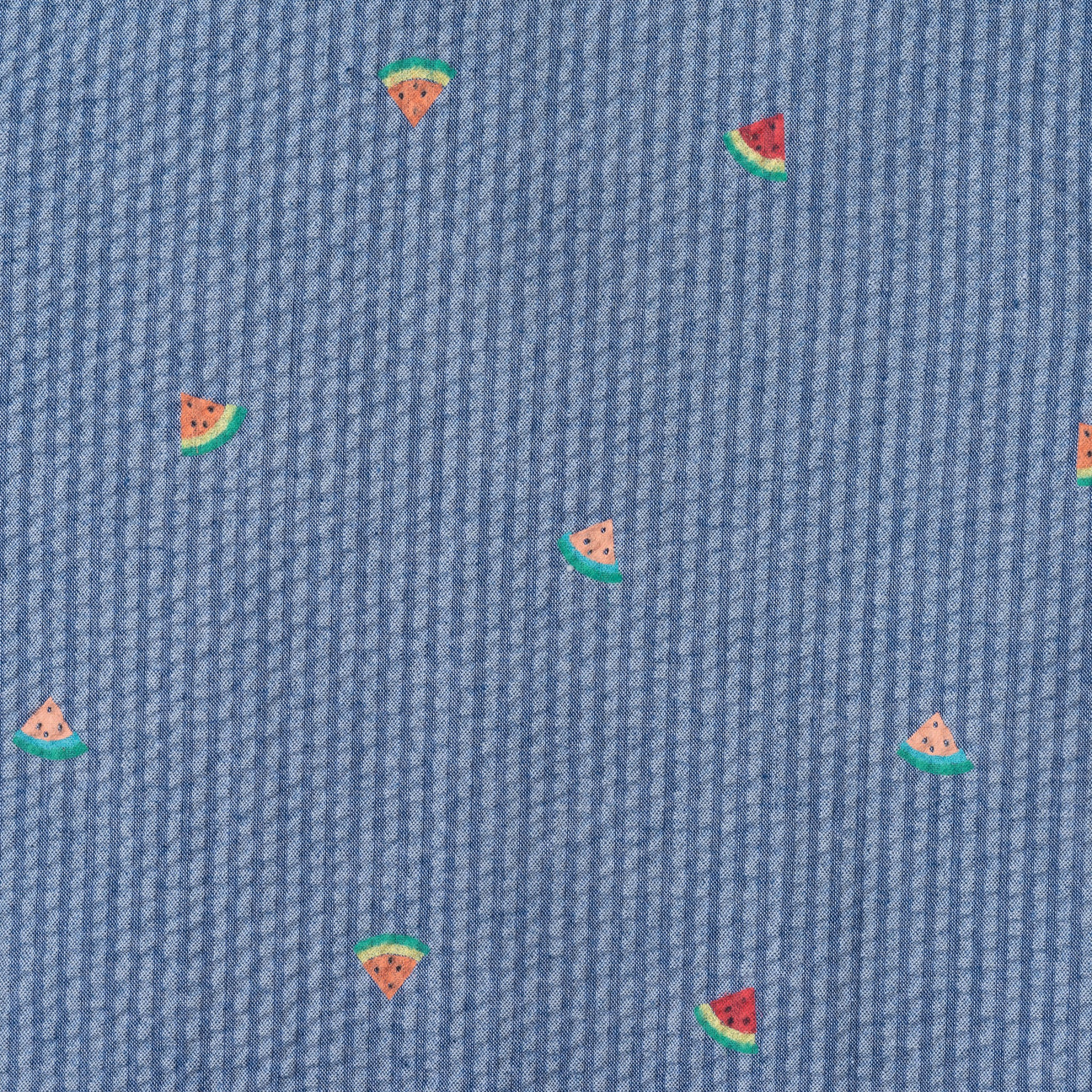 Watermelon Seersucker Buttondown Set