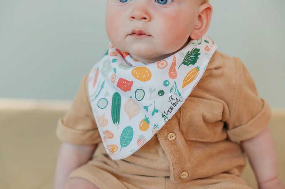 CP Bandana Bib Boy Veggies