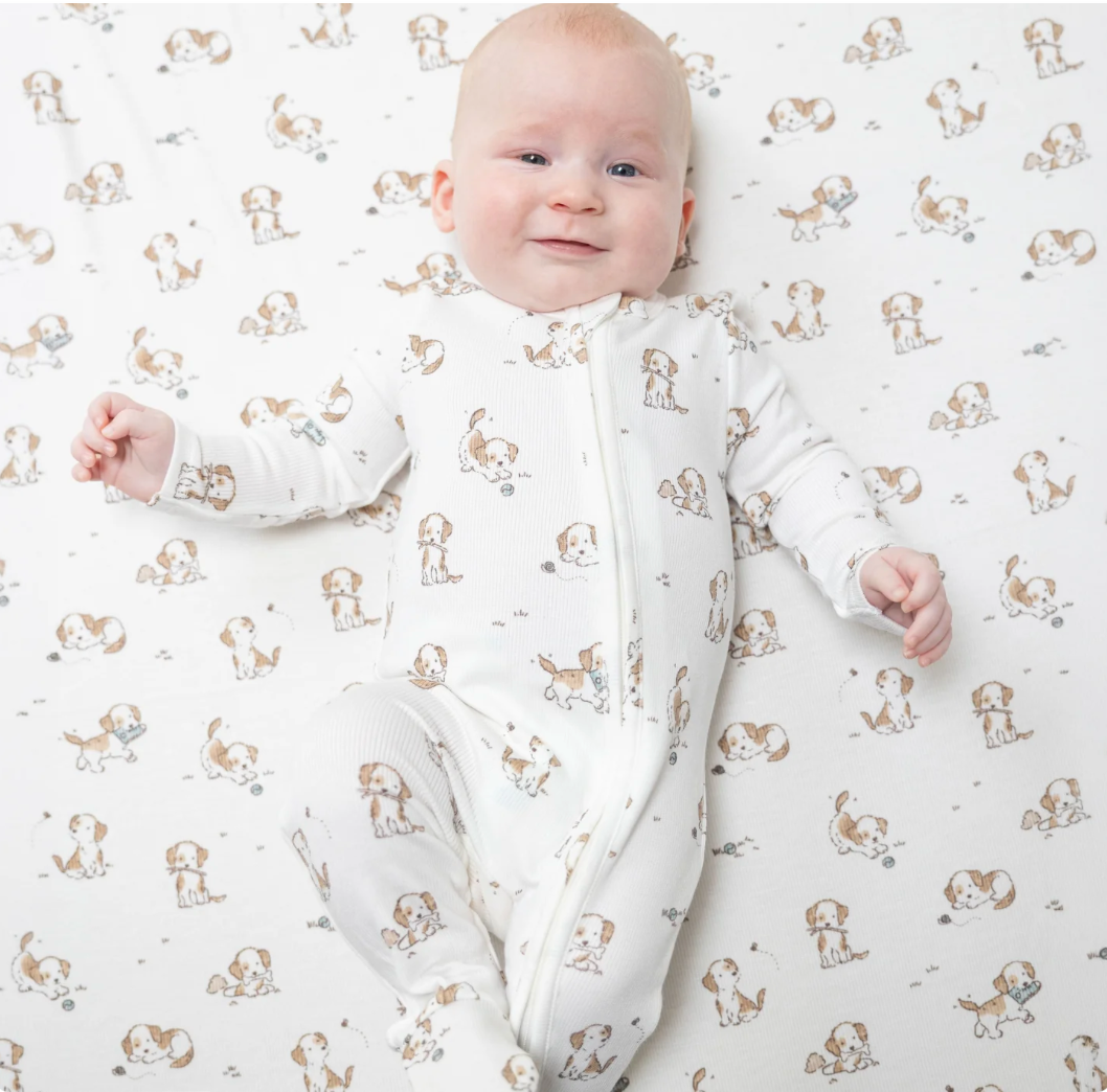 Blue Explorer Puppy Zipper Footie