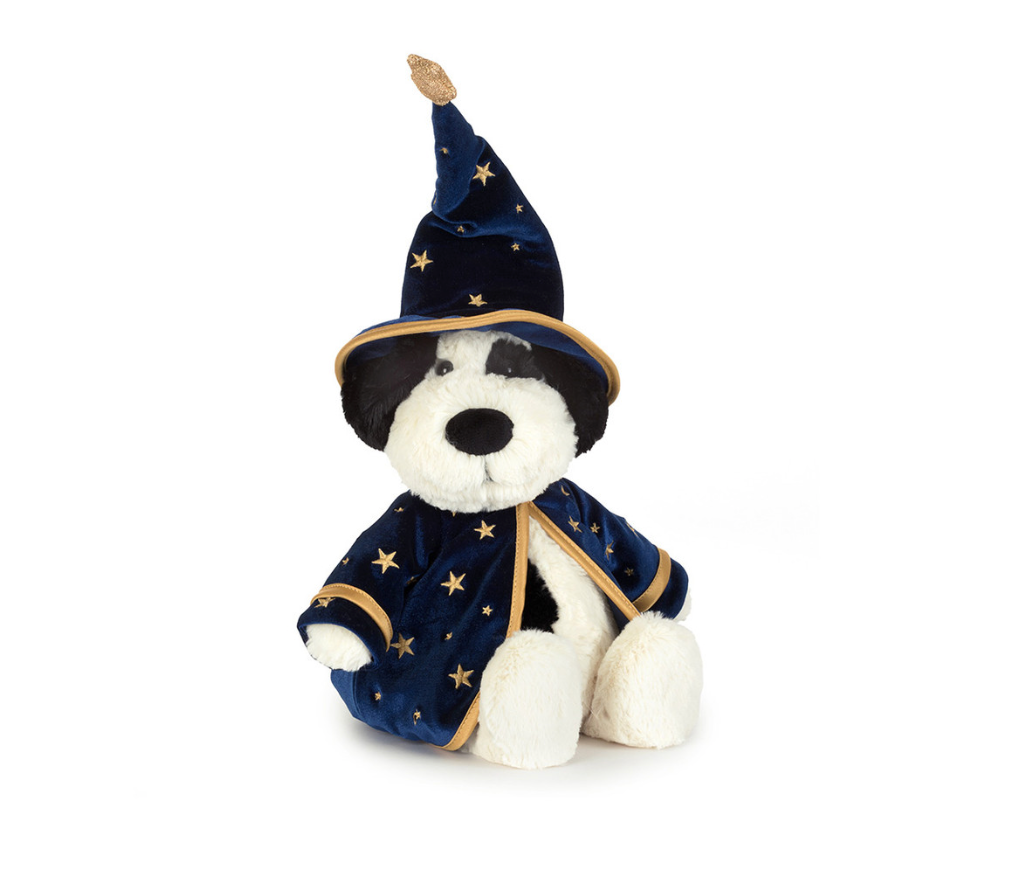 Rufferty Puppy Wizard Outfit