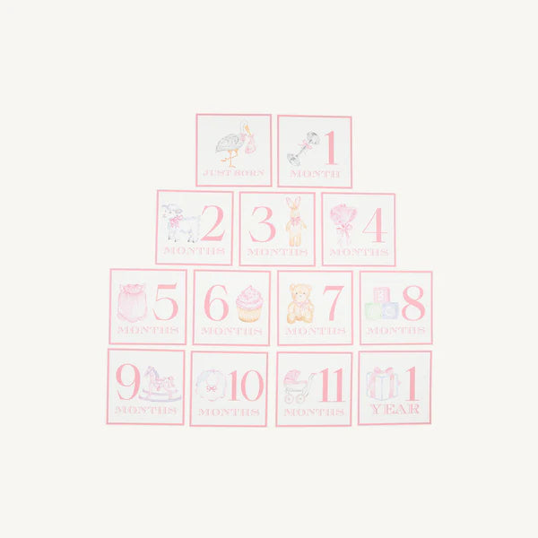 Sir Propers Month Markers Palm Beach Pink