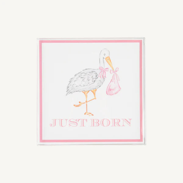 Sir Propers Month Markers Palm Beach Pink