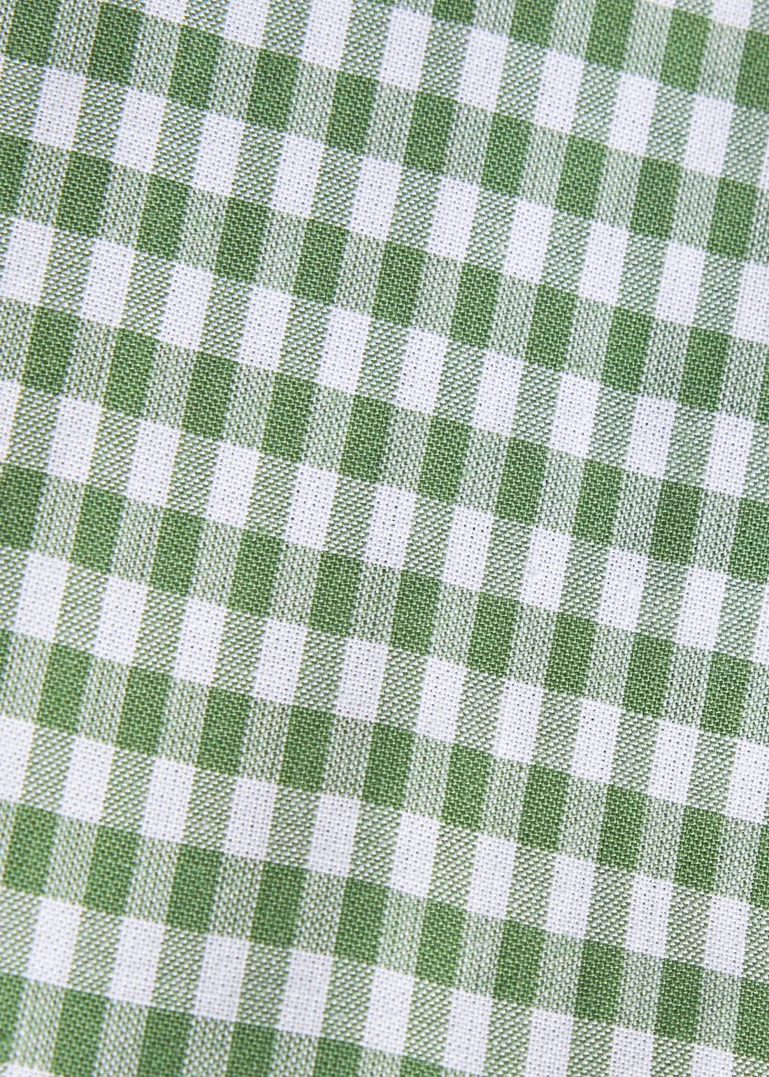 Watercress Gingham Button Down Shirt