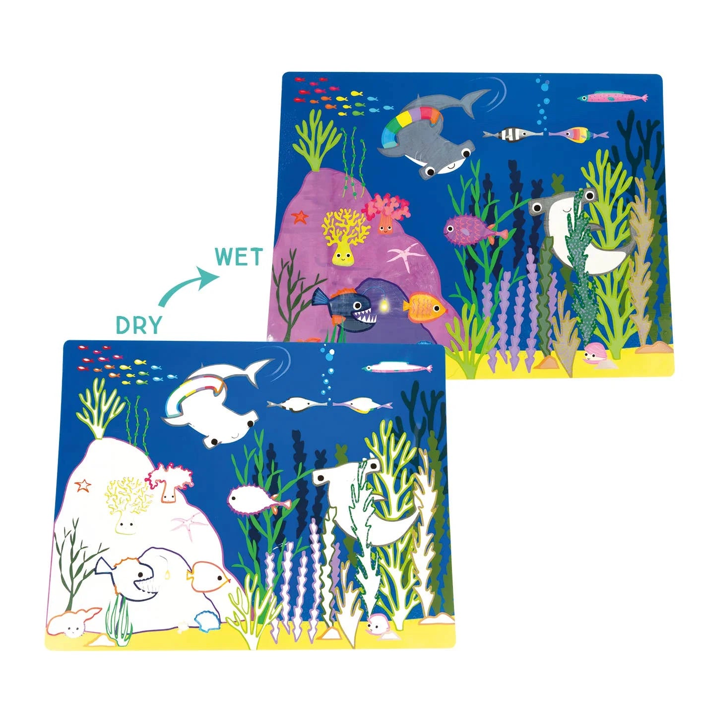 Ocean Magic Water Placemats