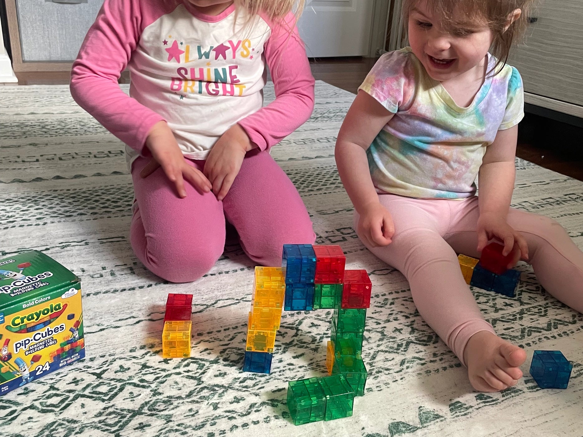 Crayola Bold PIP Magnetic Cubes 24pc