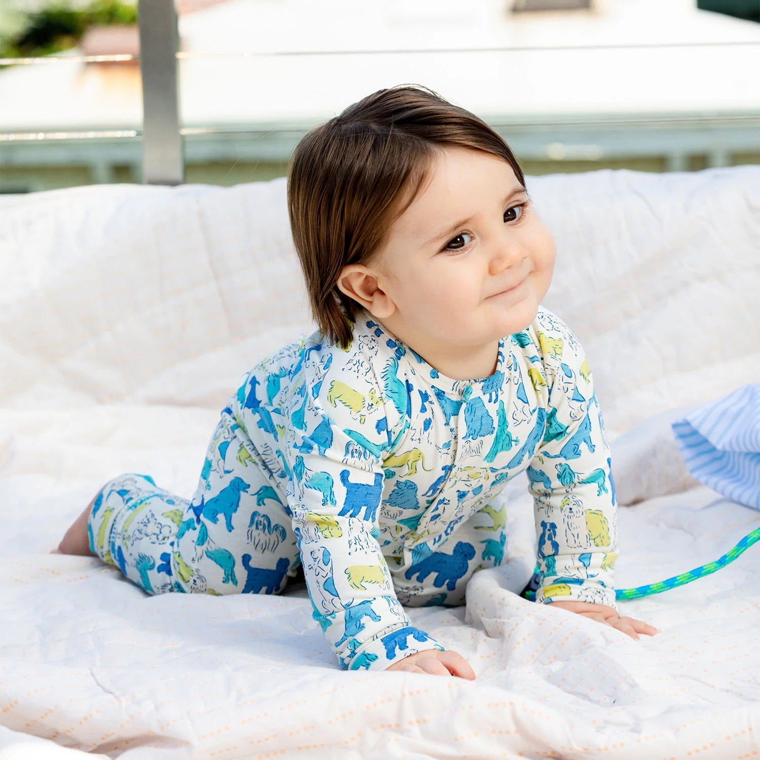 Magnetic Blue It's a Paw-ty Conv Coverall