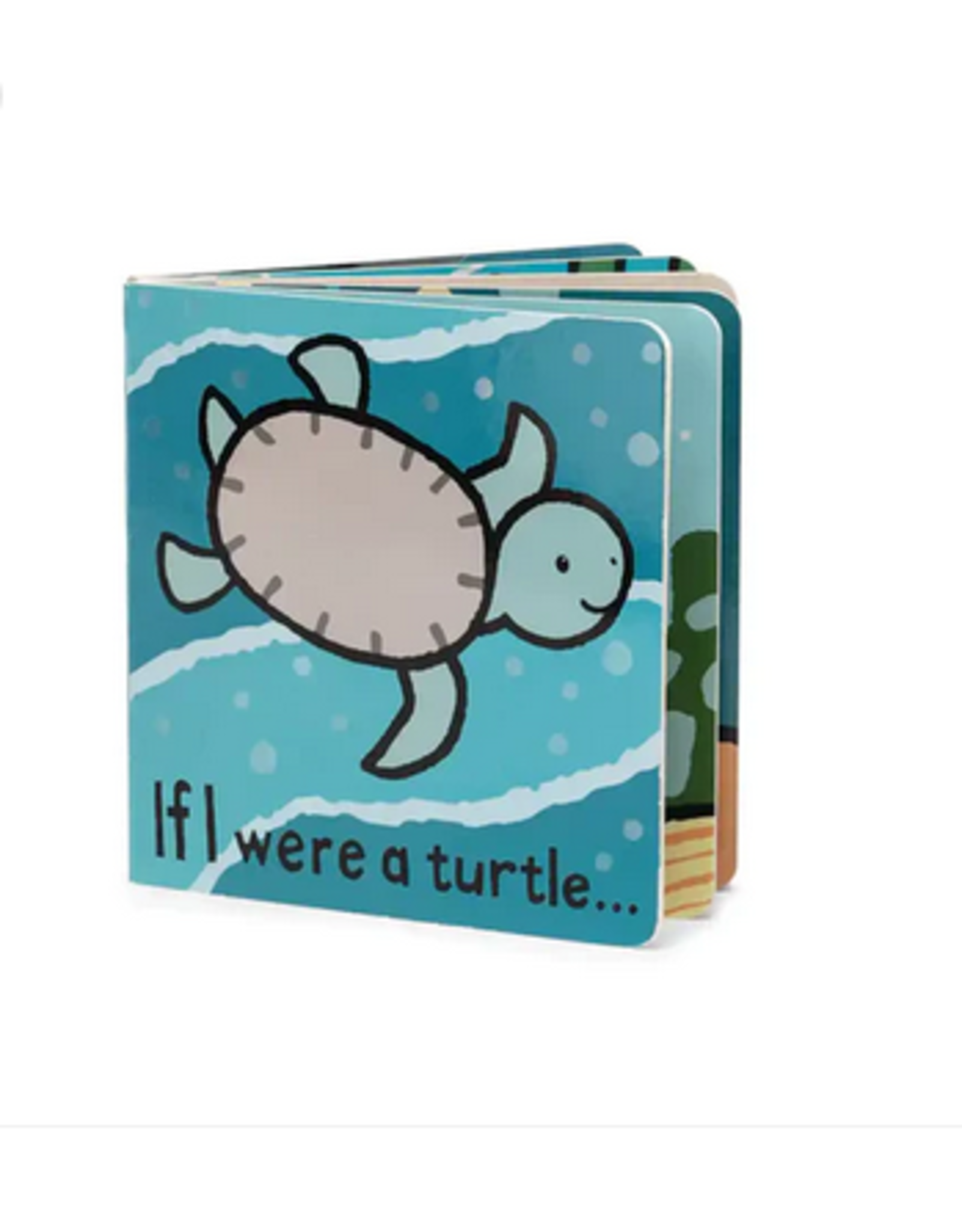 If I Were a Turtle