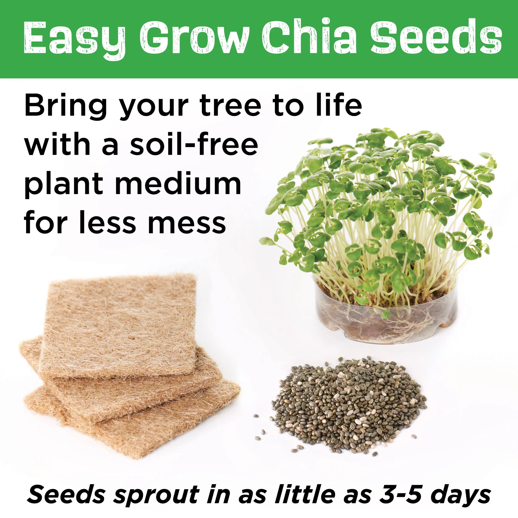 Build and Grow Tree House