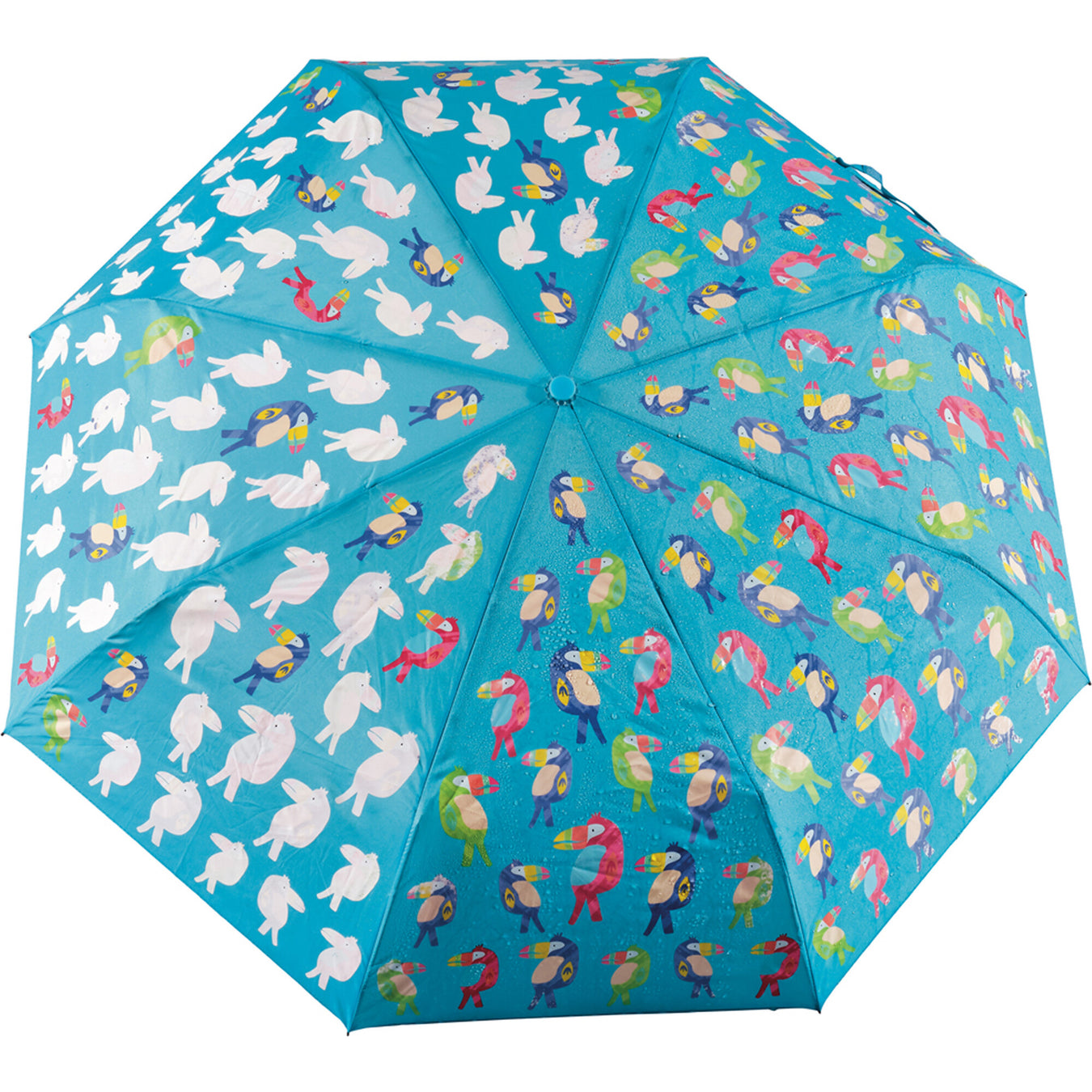 Accessories - Umbrella