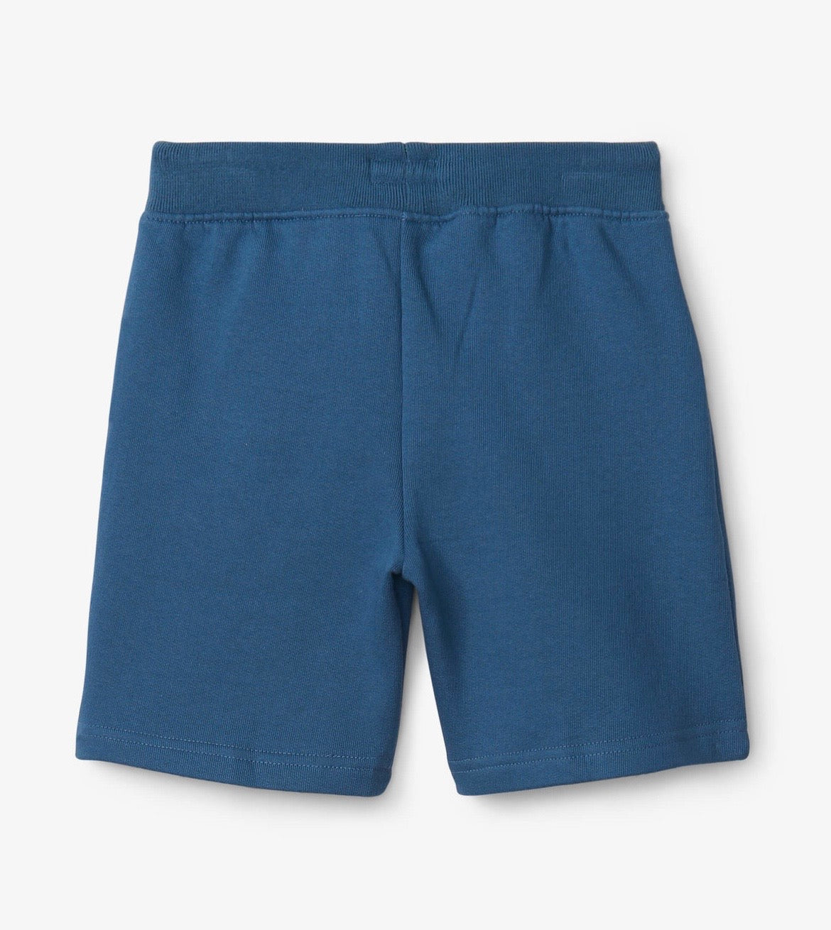 Ensign Blue Lime Drawstring Terry Shorts